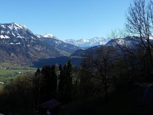 Holiday Home Chalet Hüsli by Interhome