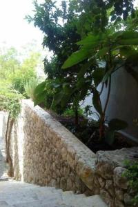 Apartment Maestral Ventus Makarska by Interhome