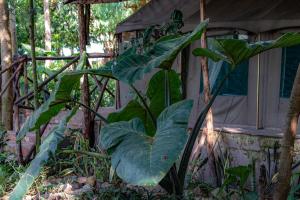 Mwanza Lake view Farm & Eco Lodge