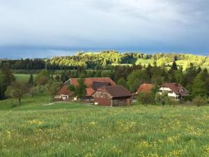 Apartment Steinern by Interhome