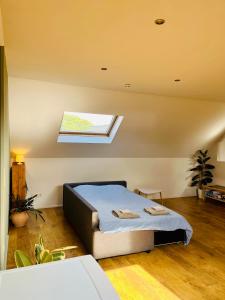 Ruime studio met eigen ingang en private badkamer