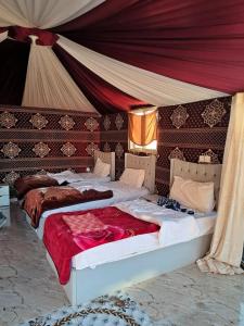 Camp in the natural reserve & tours