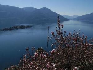 Apartment Casa Leula 2 1-2 Zimmerwohnung by Interhome