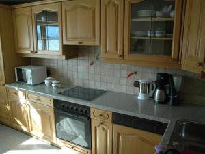 Apartment Große Wohnung in Silbertal mit Großem Garten by Interhome