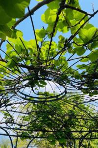 Apartment Casa Ritz by Interhome