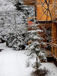 ECHIVITI Cottages in Abastumani