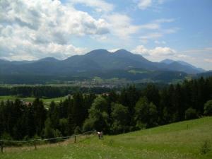 Apartment Wohnung Rozika by Interhome