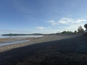 Fundy Footprints