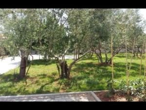 Apartment Charmante Hütte mit Grill und Garten by Interhome