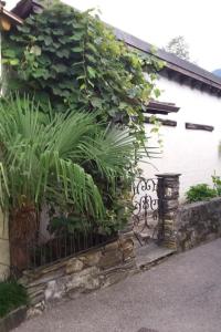 Apartment Haus San Cristoforo - Atelier by Interhome