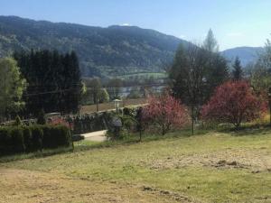 Holiday Home in Steindorf Am Ossiacher See by Interhome