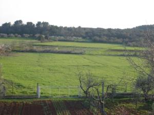 Apartment Apartment in Pula- Kroatien mit hohen Gästebewertungen by Interhome