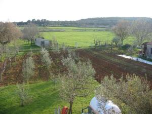 Apartment Apartment in Pula- Kroatien mit hohen Gästebewertungen by Interhome