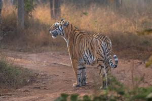 Vindhyavan Mud House