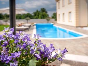 Holiday Home Jakov by Interhome