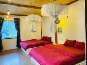 Nhà Dâu Homestay