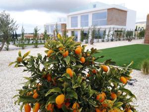 Holiday Home Luxuriöse Villa mit 4 Schlafzimmern- Pool und Whirlpool by Interhome