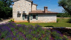 Rustic Villa Luna with pool in Sveti Lovrec