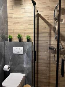 Apartament Górska Przystań