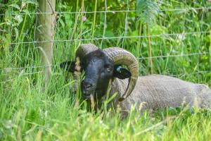 1 Bed in Northrepps oc-f32556