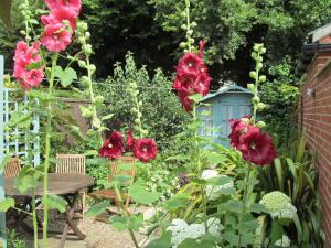 2 Bed in Saxmundham oc-15far