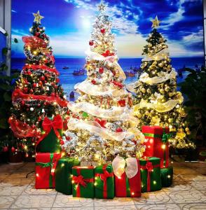 Homesray & Camping Phan Thiet Beach