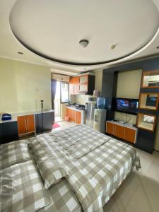 Gateway cicadas by aleshaproperty