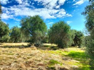 Agriturismo Lillastro Grosseto