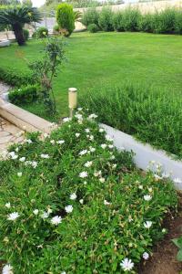 Apartment Komplett ausgestattete Wohnung für 7 Personen by Interhome