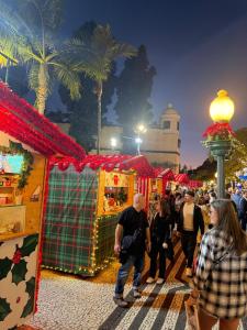 Funchal Center Apartment III