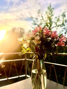 Milano Navigli Bocconi NABA-IULM-IED-chic-Olimpiadi-EASY-SELF