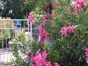 Apartment Apartment Oleandri A2 mit Meerblickbalkon by Interhome