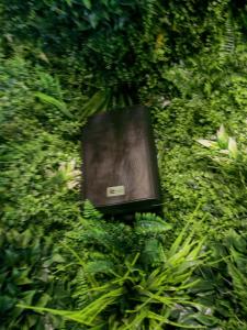 La Jungle de Toulon, Voyage Sensoriel & Spa