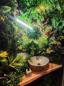 La Jungle de Toulon, Voyage Sensoriel & Spa