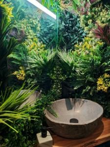 La Jungle de Toulon, Voyage Sensoriel & Spa