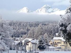 Apartment Chesa Auricula by Interhome