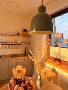 Apartamenty Polański Termalne Szaflary - Gorący Potok i Termy Szaflary 20 procent rabat