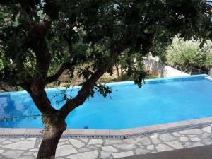 Apartment Vesna 1 mit Meerblick by Interhome