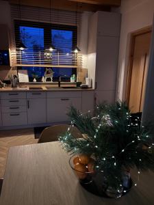 RUBIESZCZA domki z kominkiem i widokiem na jezioro