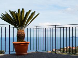 Holiday Home Elegantes Haus in Santana mit Garten und Grill by Interhome