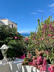 Cosy home Ocean View & Garden