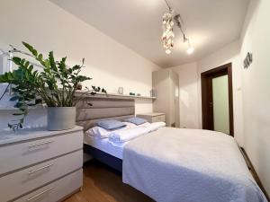 Apartament Odkryta 36a