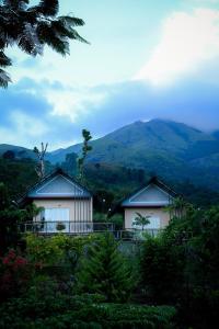 Banasura Cradle Premium Pool Resort