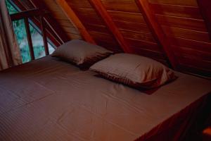 Rainforest Royal Heritage