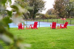 Mad Swans in The Mendips