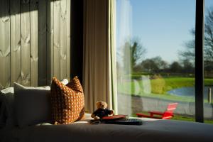 Mad Swans in The Mendips