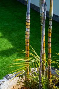 Infinite Ocean View Villa 20m above Ocean & Beach