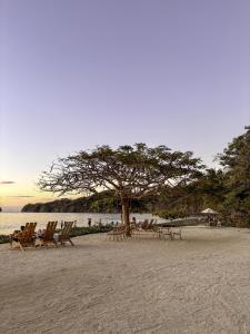 Tropics at Naumi, Ocean Views, Gym & Pools