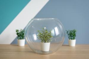 Home2Book Terrace Retreat El Cotillo