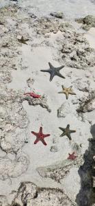 Stylish Penthouse with breathtaking oceanviews and private rooftop pool